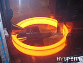Shandong Hyupshin Flanges Co., Ltd, flanges foring and rolling